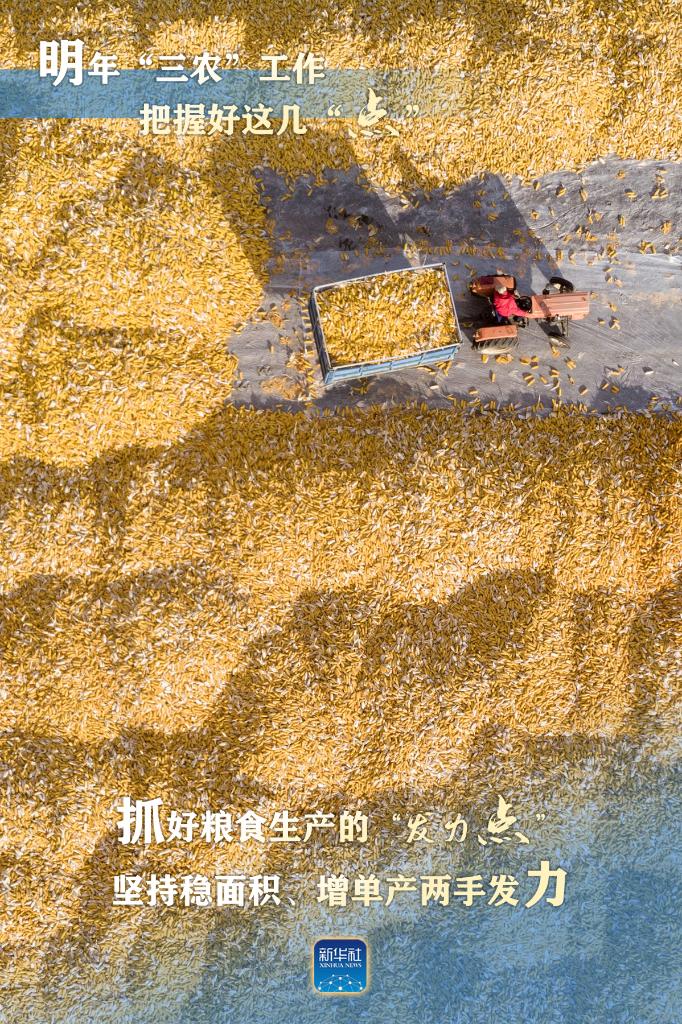 明年“三農(nóng)”工作，這幾個(gè)“點(diǎn)”要把握好
