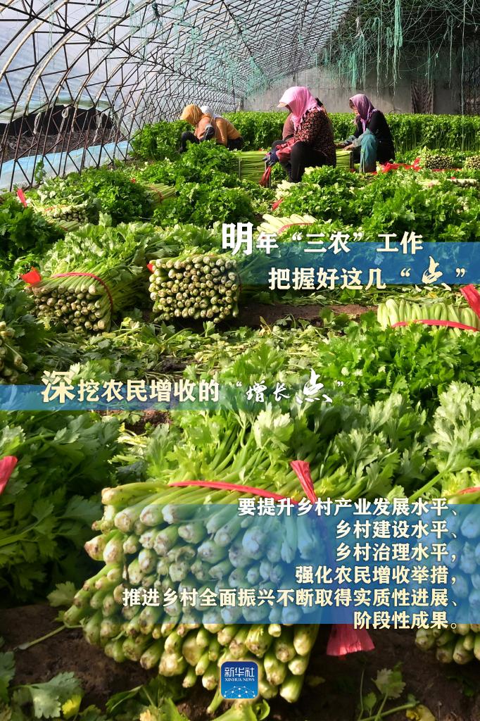 明年“三農(nóng)”工作，這幾個(gè)“點(diǎn)”要把握好
