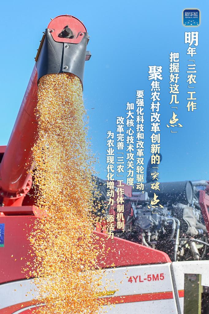 明年“三農(nóng)”工作，這幾個(gè)“點(diǎn)”要把握好