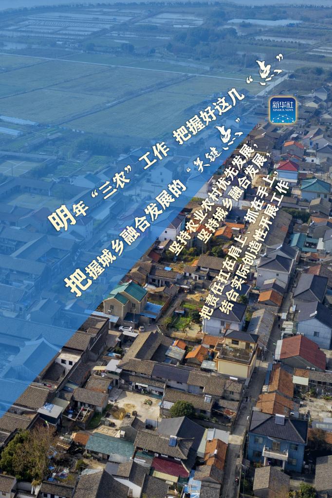 明年“三農(nóng)”工作，這幾個(gè)“點(diǎn)”要把握好
