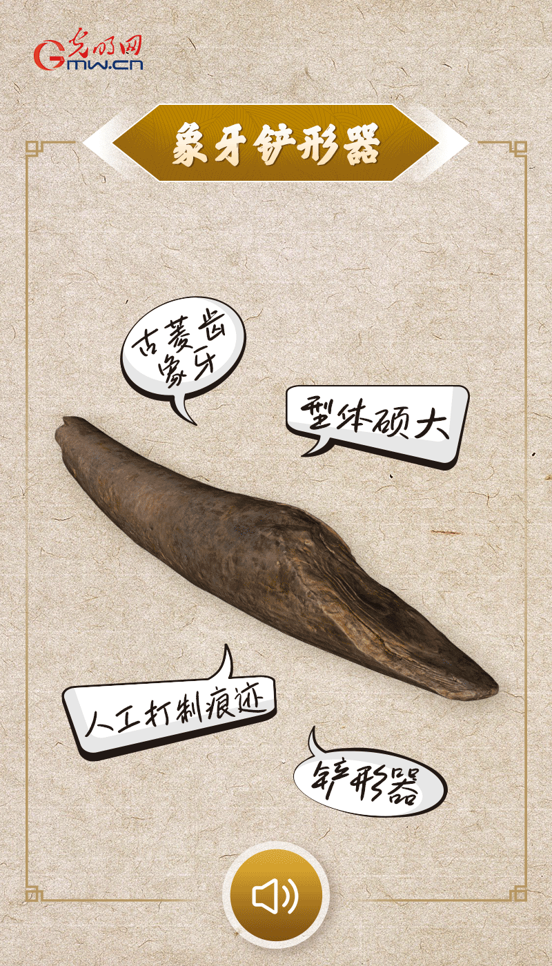 文物會說話 |@所有人，帶你看看“十大考古新發現”的新故事