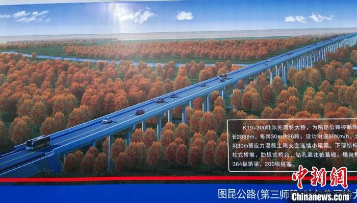 大橋穿越近3000米的原始胡楊林保護區。圖為工程效果圖?！∈酚窠?攝