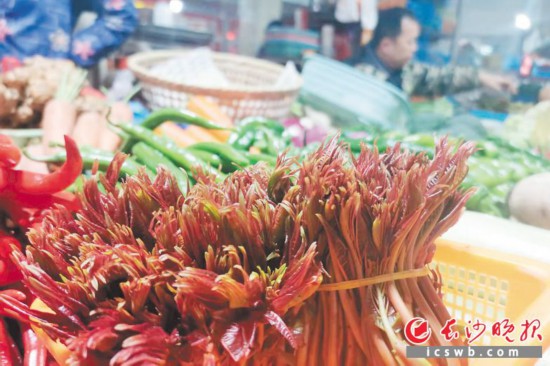 　　農貿市場里鮮嫩的香椿?！　【鶠殚L沙晚報全媒體記者 劉捷萍 攝
