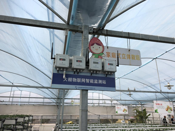 都市四季果園內的物聯網智能監測站系統。東?？h委宣傳部供圖