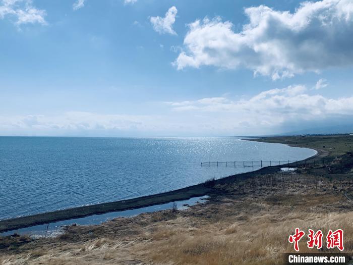 圖為青海湖畔。(資料圖) 張傲 攝