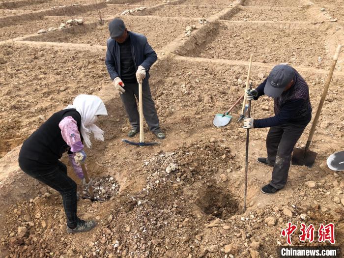 資料圖為建行青海省分行綠化區(qū)施工隊(duì)隊(duì)員處理亂石?！〗ㄐ星嗪Ｊ》中泄﹫D