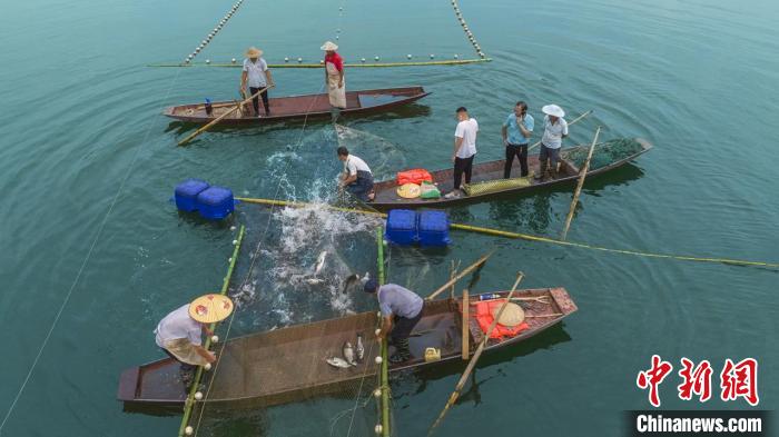 捕魚(yú)現(xiàn)場(chǎng)。　主辦方供圖