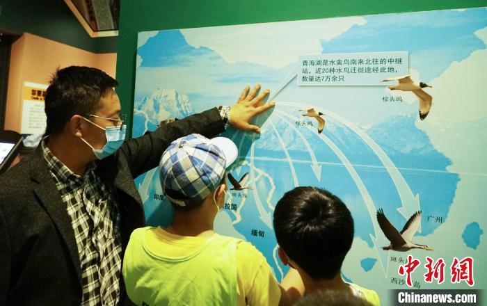 圖為小朋友在青海西寧湟水國(guó)家濕地公園科普館內(nèi)參觀學(xué)習(xí)?！●R銘言 攝