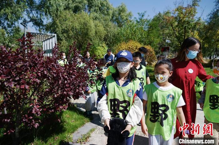 圖為小朋友在青海西寧湟水國(guó)家濕地公園內(nèi)認(rèn)識(shí)植物?！●R銘言 攝
