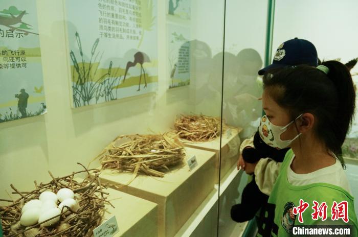 圖為小朋友在青海西寧湟水國(guó)家濕地公園科普館內(nèi)參觀學(xué)習(xí)?！●R銘言 攝