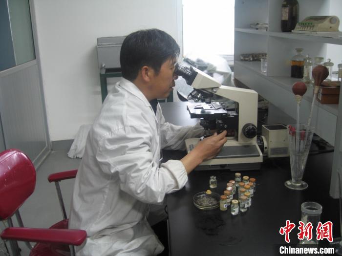 資料圖為研究團隊進行實驗室寄生蟲分類鑒定?！?青海省畜牧獸醫科學院供圖