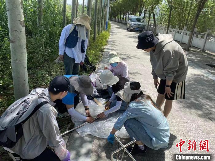 圖為科研人員正在進行監測?！∥鲗庝宜畤覞竦毓珗@供圖