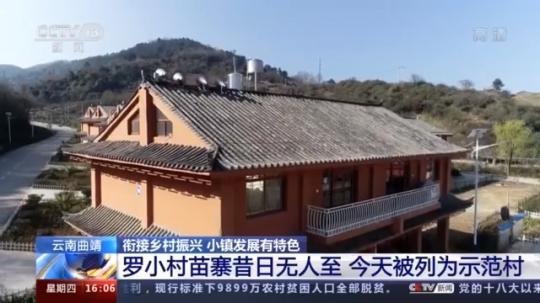 種蘑菇、養駱駝...。。特色產業助力鄉村振興走新路
