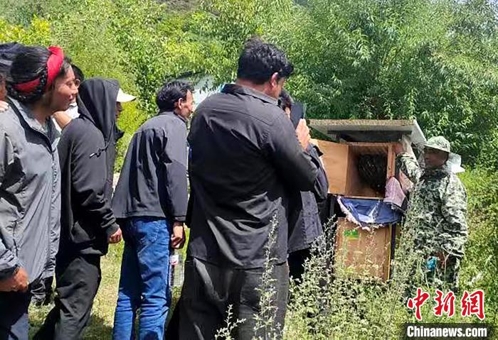 拉久西村村民學習養蜂工作流程和防范事項?！〔际忻⒖悼h委宣傳部供圖