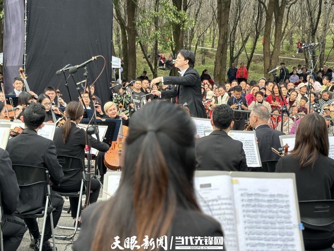 貴陽路邊音樂會·貴安櫻花園專場交響樂現場。丁亞 文丹 攝