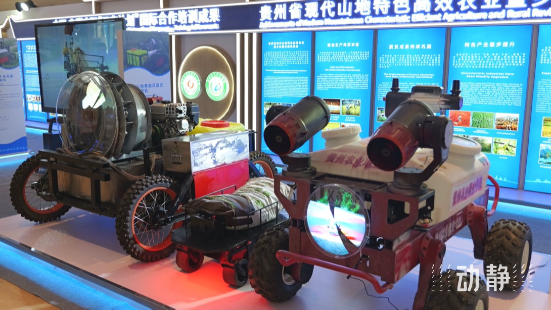 展示成果分享經(jīng)驗，中國—東盟教育交流周深化合作共創(chuàng)未來！