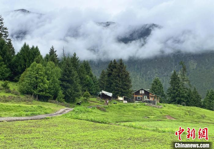 6月10日，魯朗小鎮(zhèn)高山牧場(chǎng)景區(qū)風(fēng)光。　冉文娟 攝