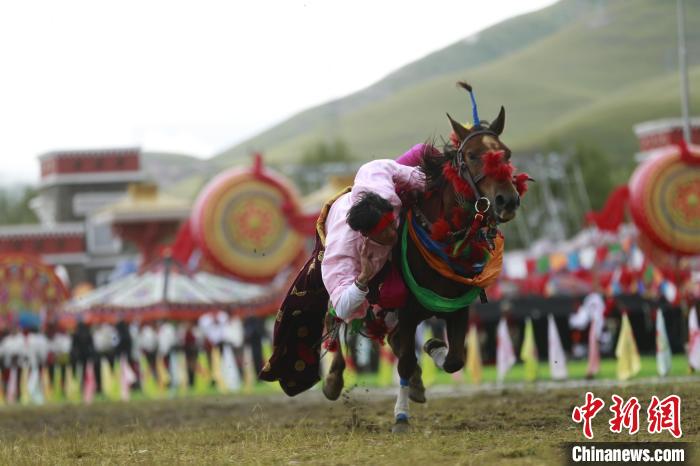 青海玉樹：70年，幸福生活如格桑花綻放
