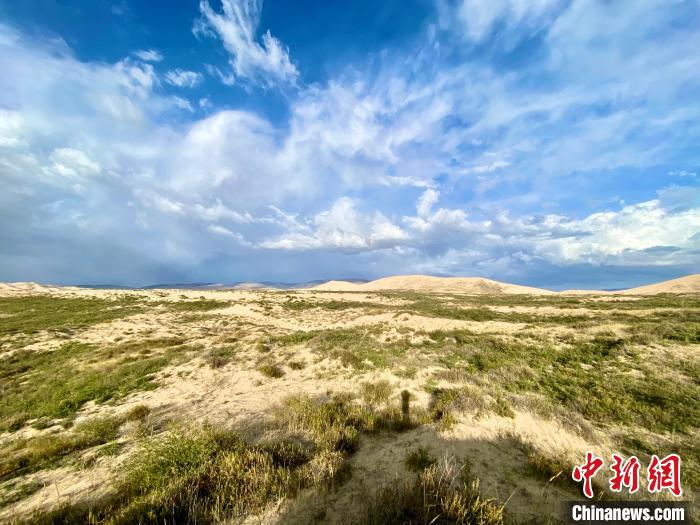 圖為關停四年后的沙島景區現狀?！±罱瓕?攝