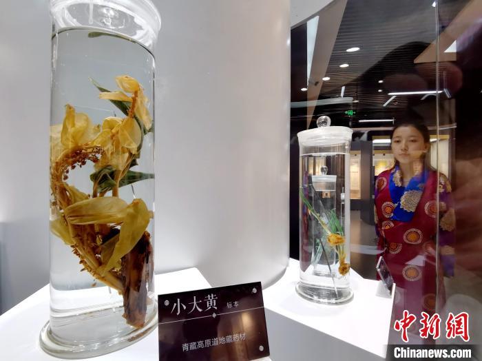 青海中藏醫藥發展提速：建設一批重點?？茖W科，推廣一批適宜技術