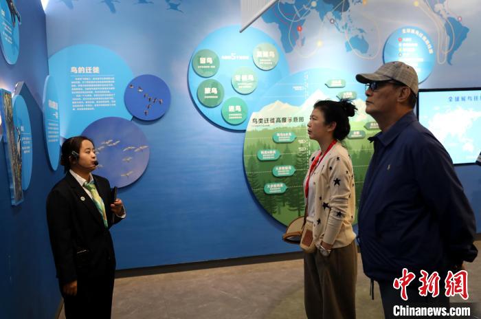 圖為臺商在祁連山國家公園生態(tài)科普館內(nèi)聆聽講解?！⊙Φ?攝