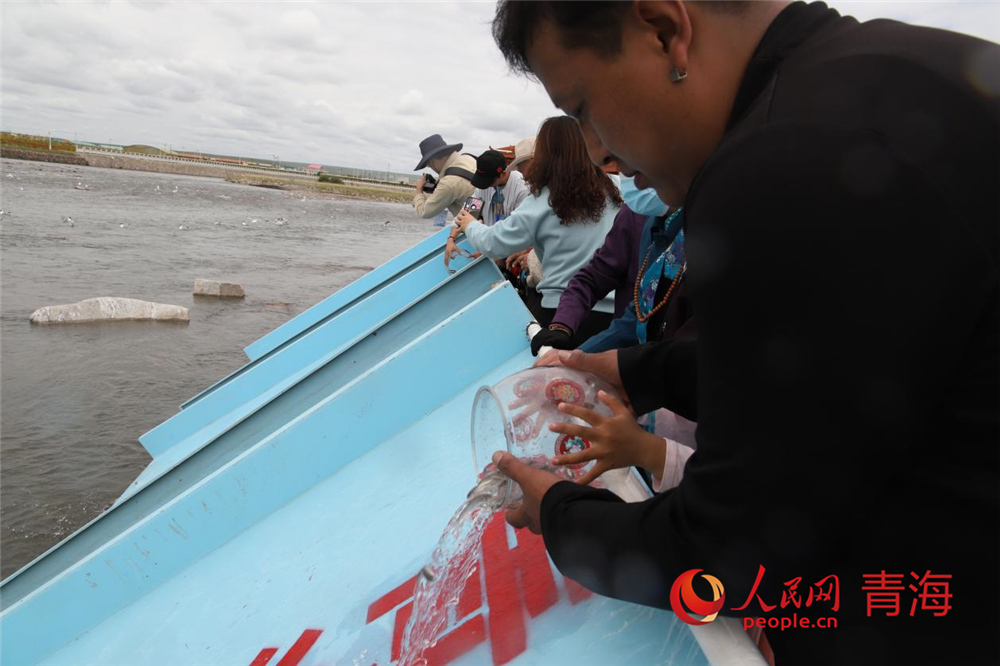 群眾放流青海湖裸鯉。人民網 陳明菊攝