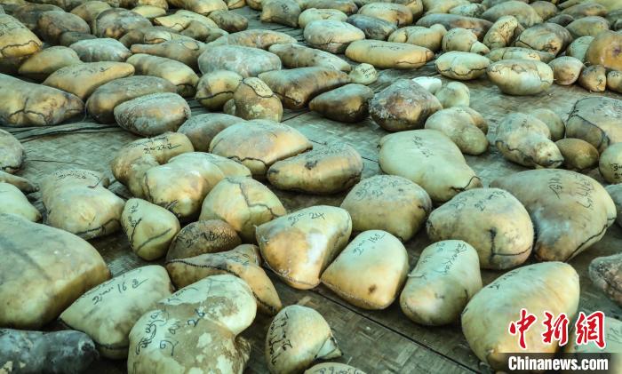 圖為茶措村牧區改革合作社用于分紅的酥油?！∷骼嗜是?攝