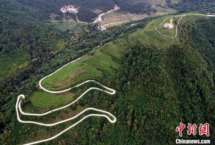 圖為西藏林芝市墨脫縣背崩鄉格林村山頂的景觀茶園。(無人機照片) 李林 攝