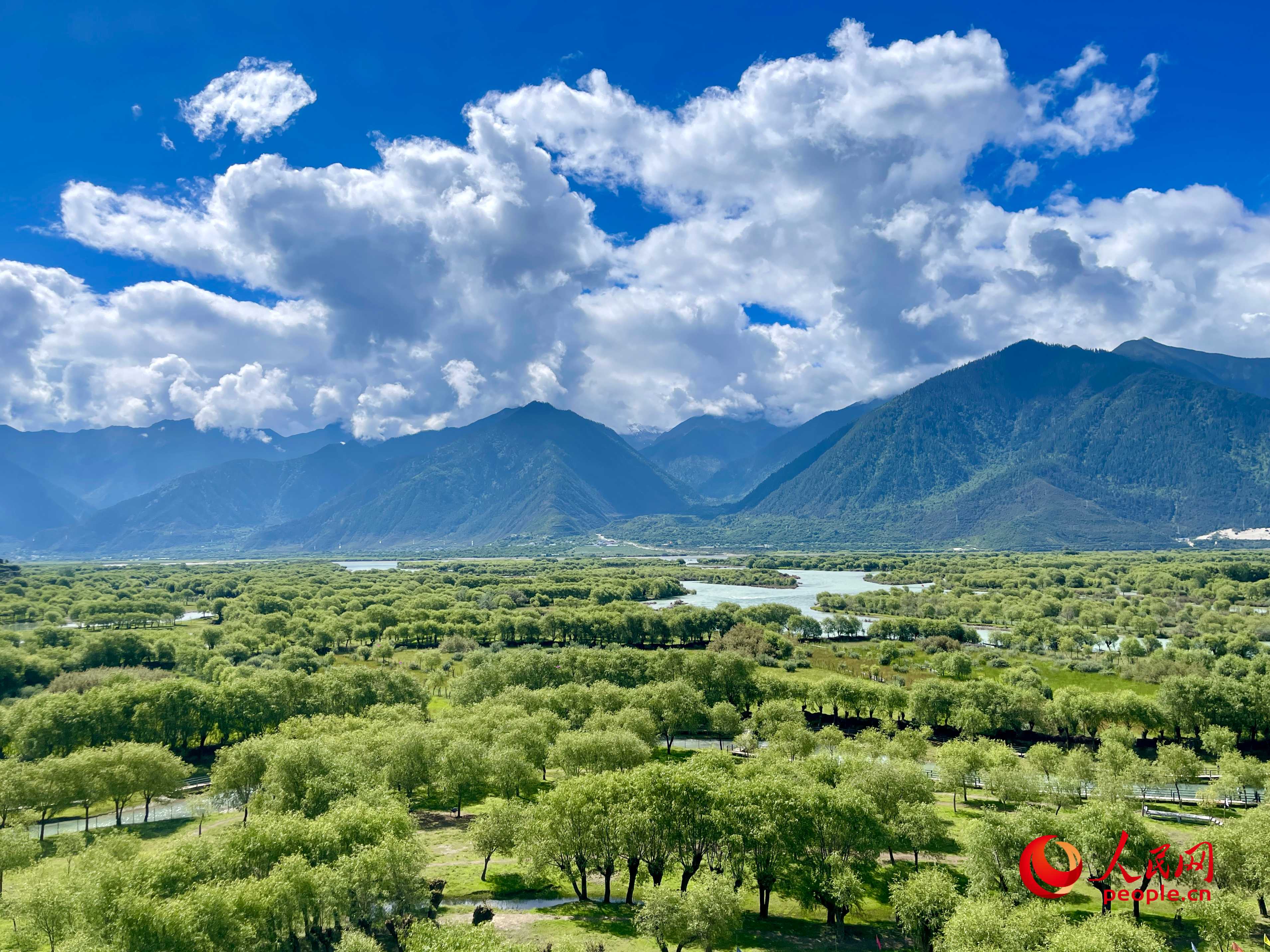 夏日的雅尼國家濕地公園生機盎然，如詩如畫。人民網(wǎng) 周靜圓攝