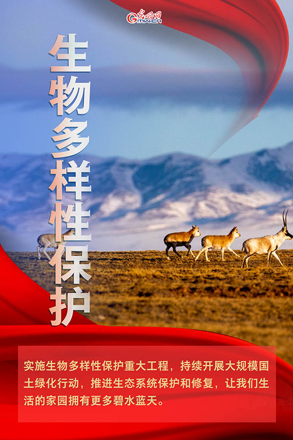 海報| 2021年政府工作報告，提到這些生態環保關鍵詞