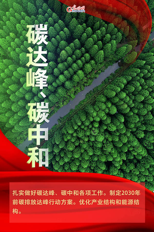 海報| 2021年政府工作報告，提到這些生態環保關鍵詞